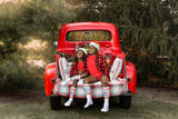 Ho's In This House Tube Socks - Sweet Reasons