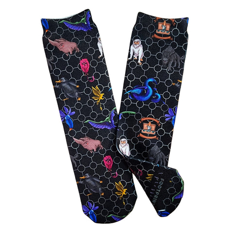 Fantastic Beasts Socks - Sweet Reasons